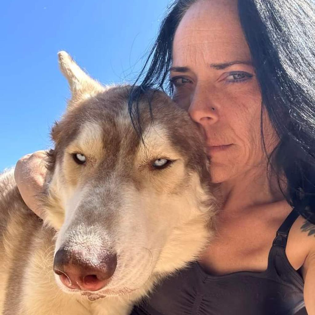 Enlarge Rusty, a Adoptable Husky in Eufaula, OK image 4/6