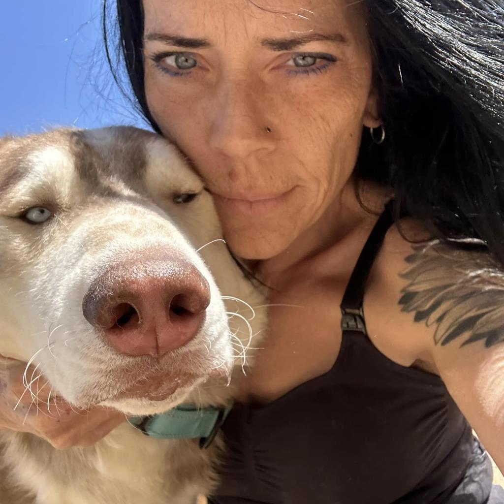 Enlarge Rusty, a Adoptable Husky in Eufaula, OK image 5/6