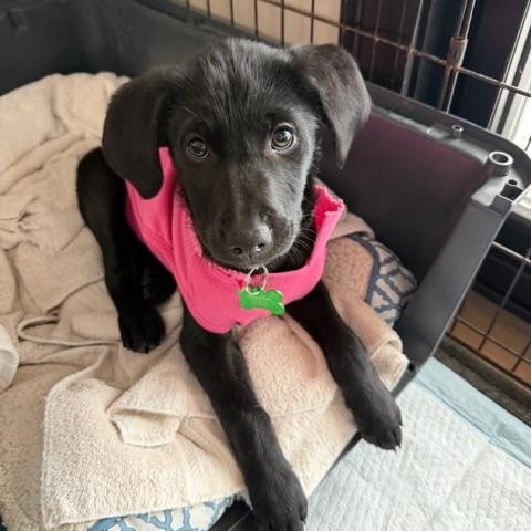 Angus McWorthy — thumbnail 2