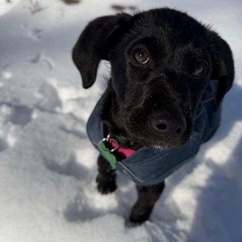 Angus McWorthy — thumbnail 3