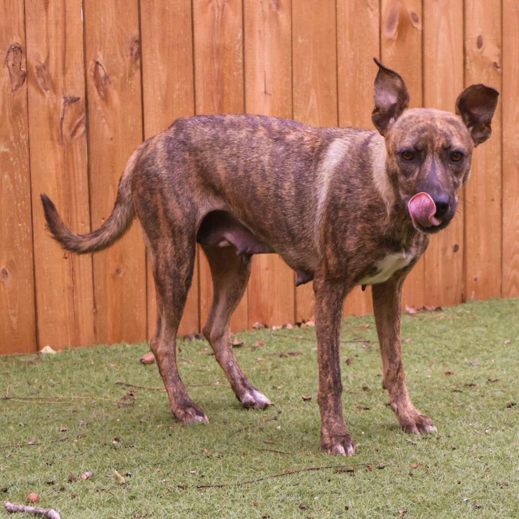 Daisy JuM — thumbnail 5