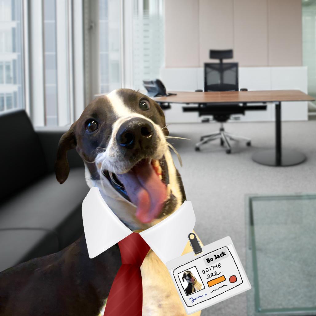 Enlarge Bo Jack, a Adoptable Mixed Breed in Fredericksburg, VA image 3/6