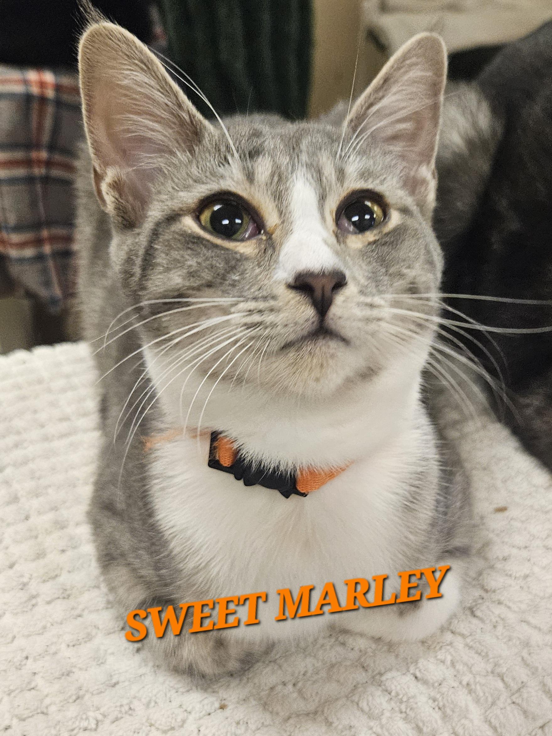 Marley