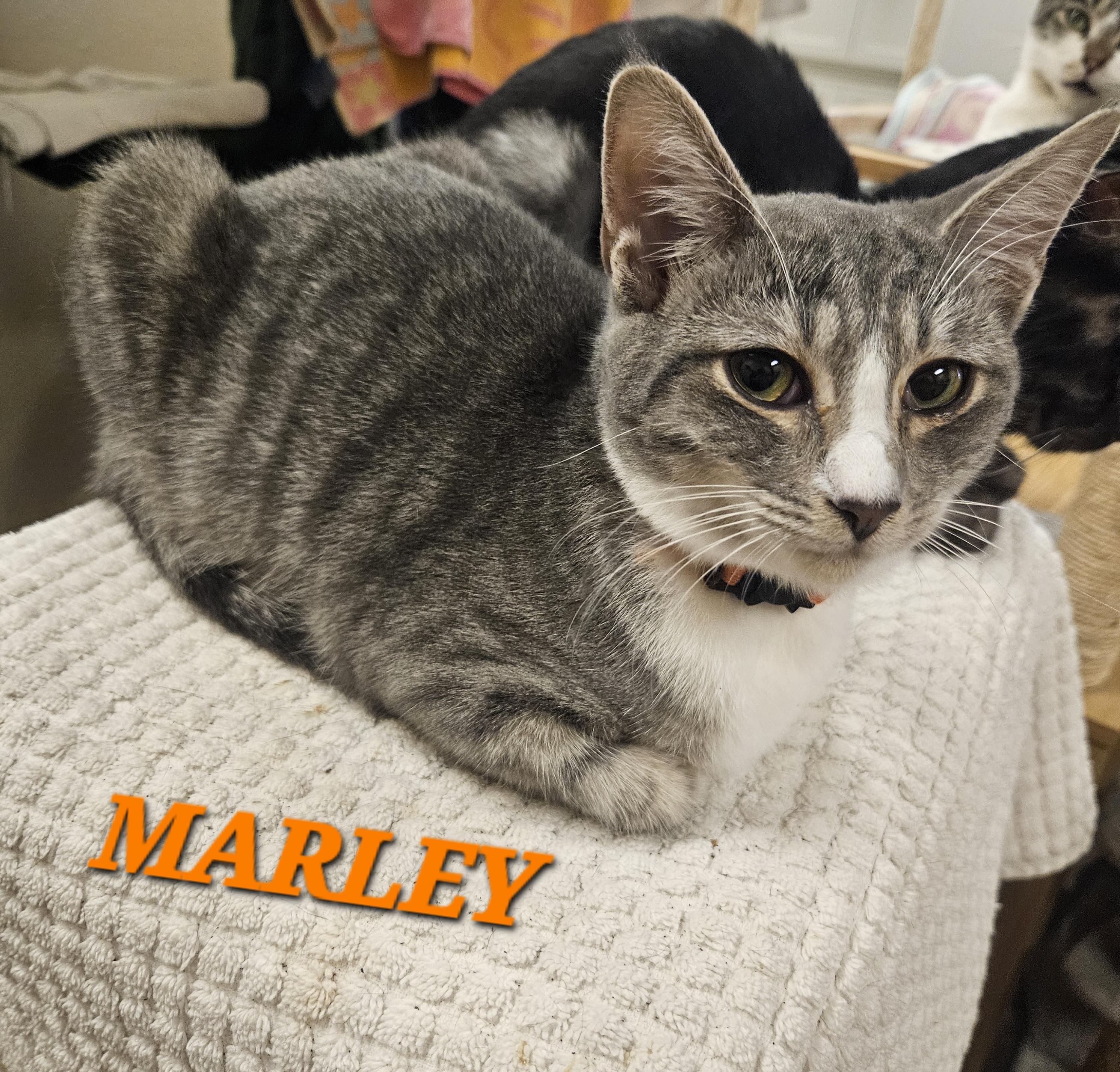 Marley