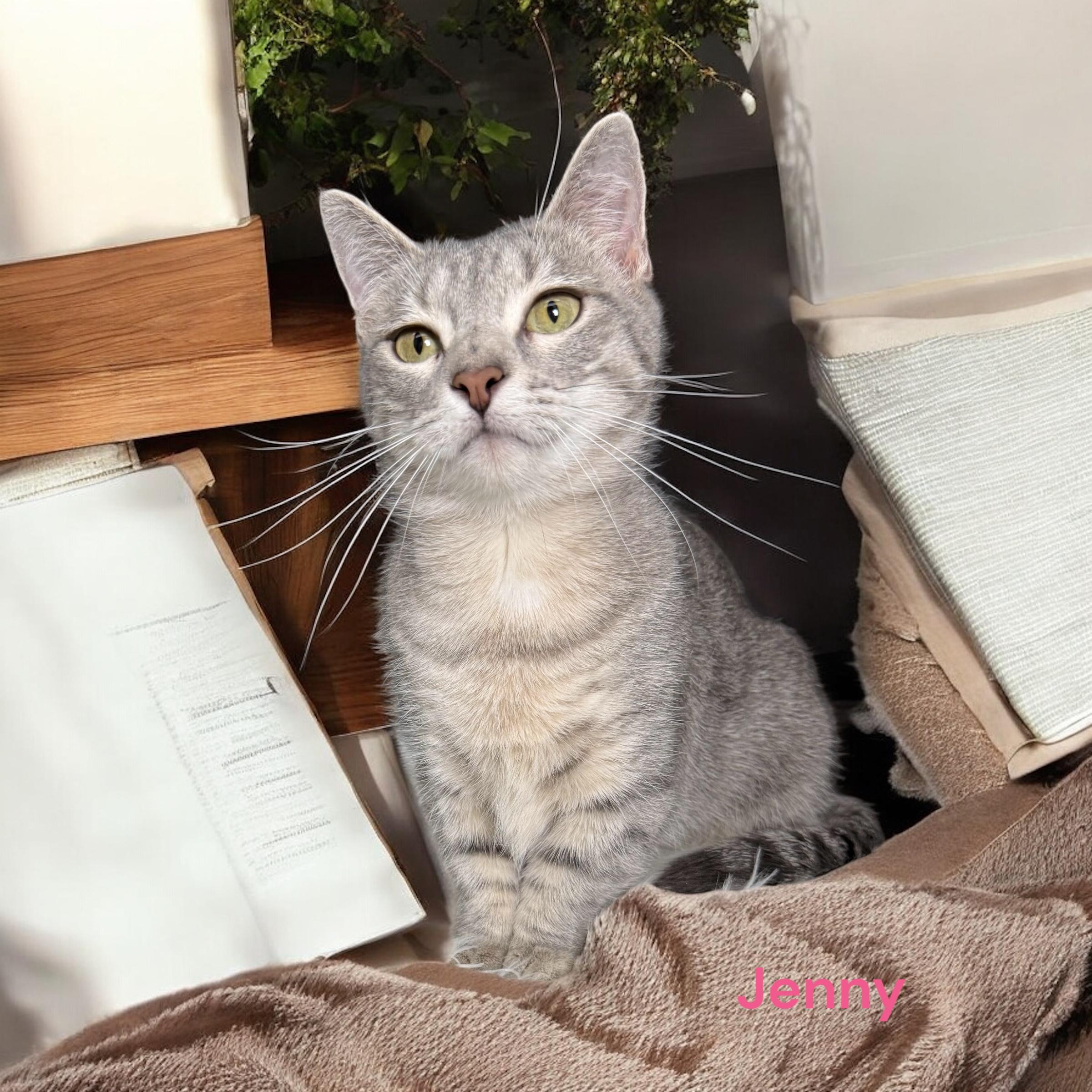 Jenny, Adult Female Munchkin