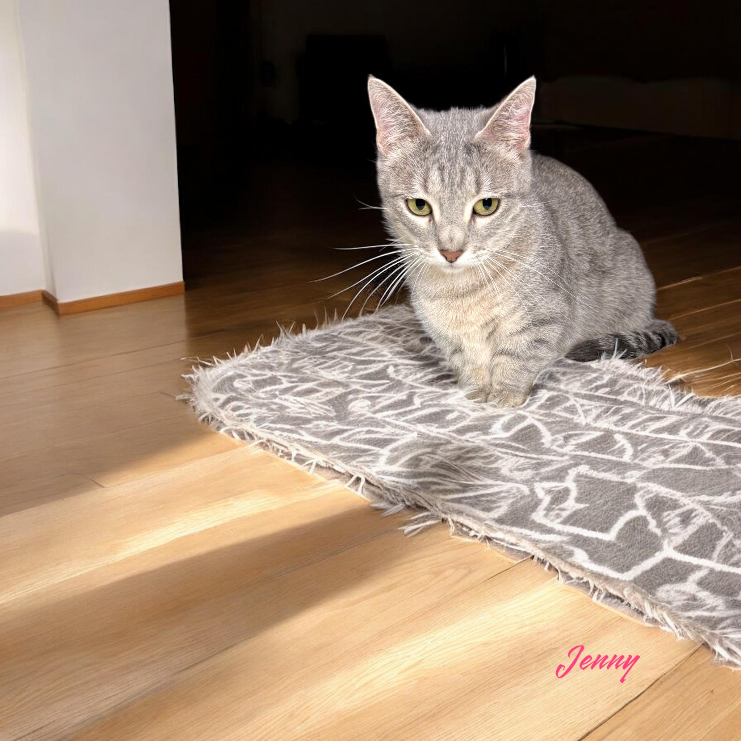 Jenny photo 2