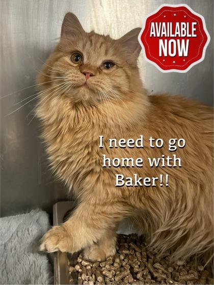 Bryson — thumbnail 2