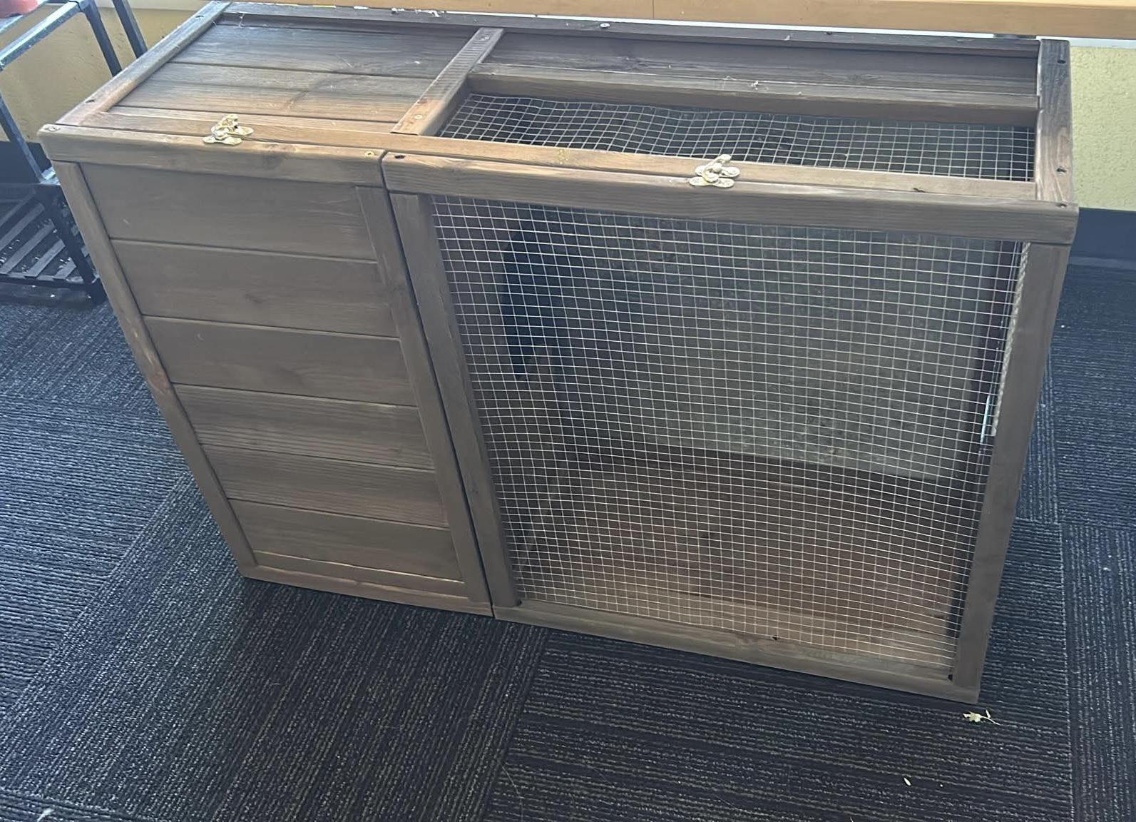 Enlarge Poptort, an adoptable Russian in Oakville, WA image 2/5