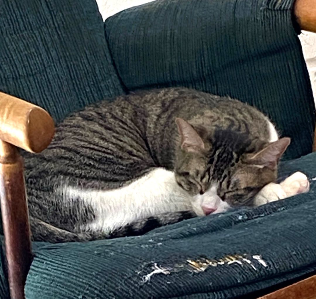 Stella #momma-of-Melanie 3