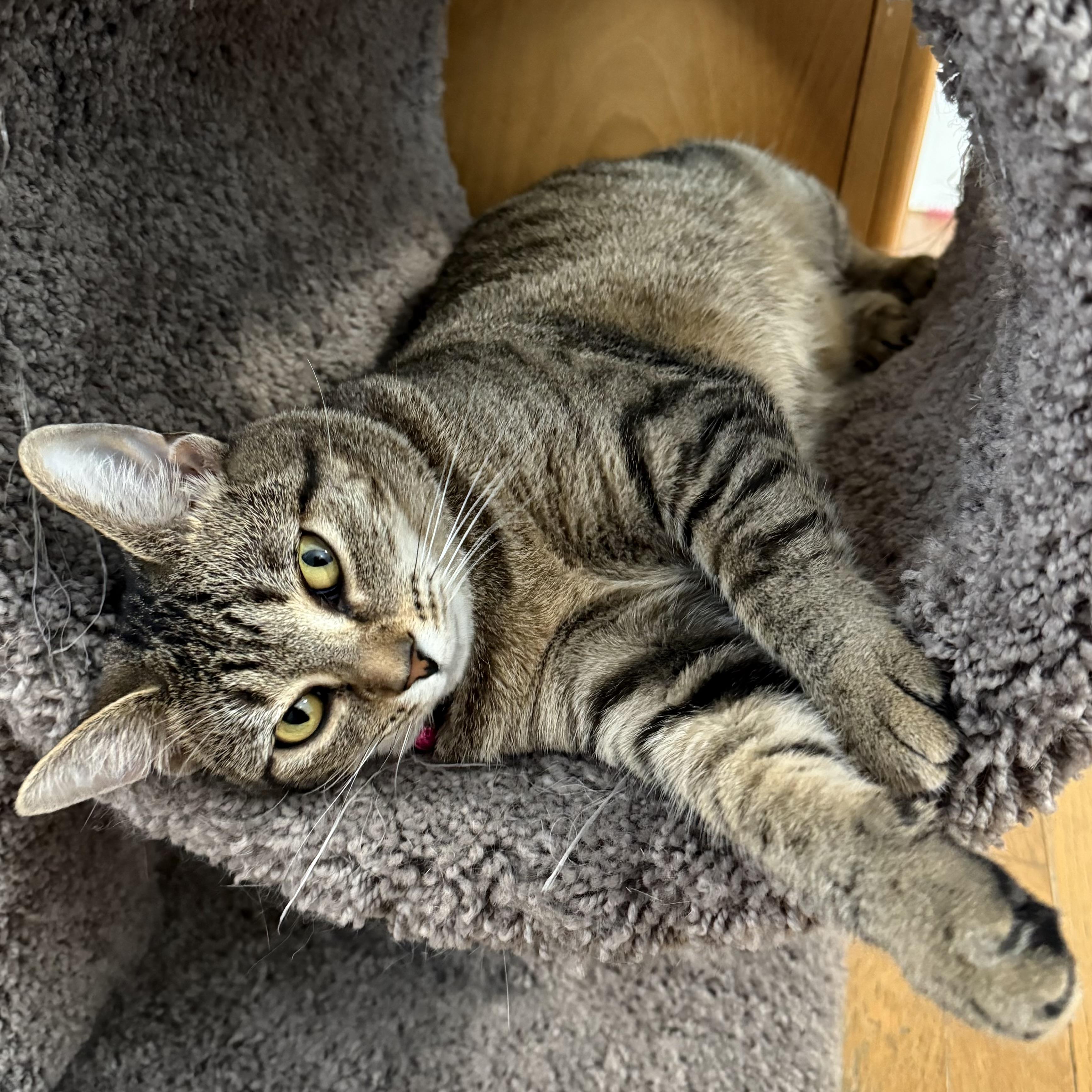 Sasha & Helga Petaki