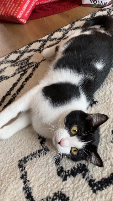 Rock Salt thumbnail 2