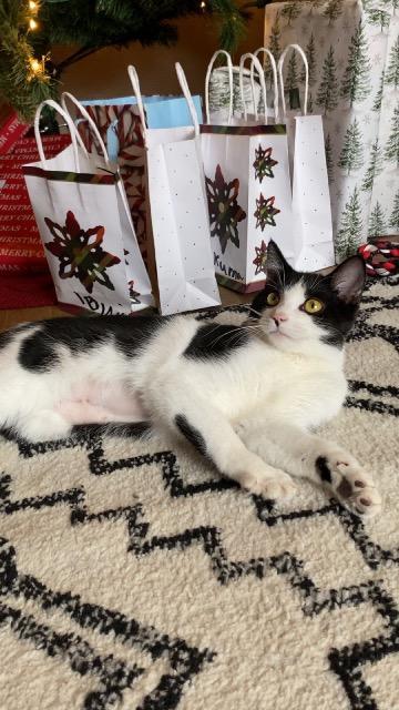 Rock Salt thumbnail 3