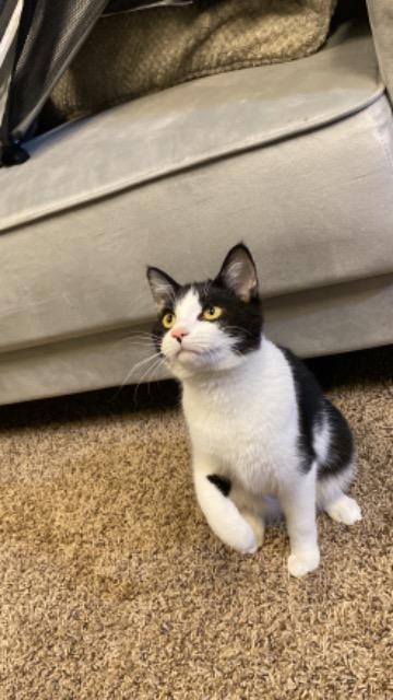 Rock Salt thumbnail 5