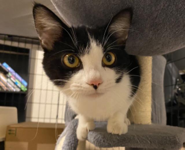 Rock Salt thumbnail 6