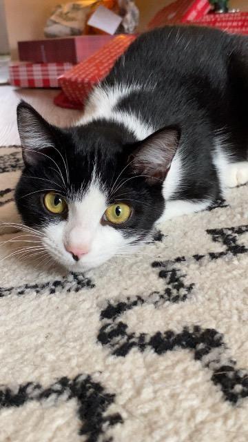 Rock Salt thumbnail 7