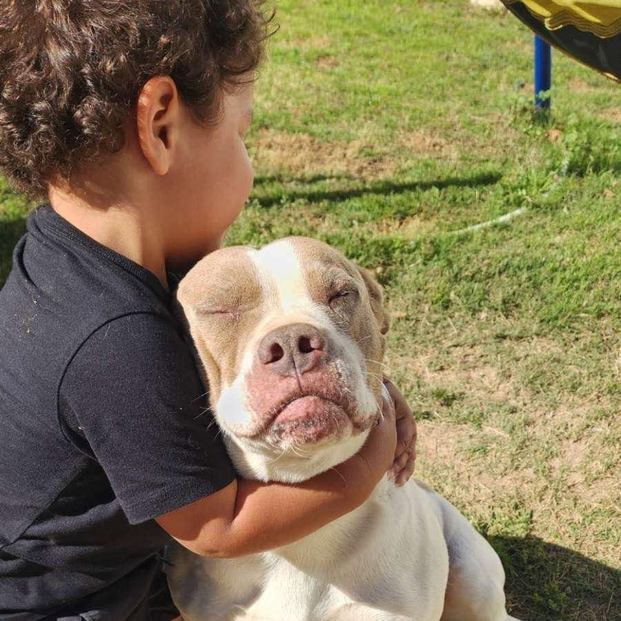 Enlarge Pepper, a Adopted mixed breed in Wilmington, NC image 2/6