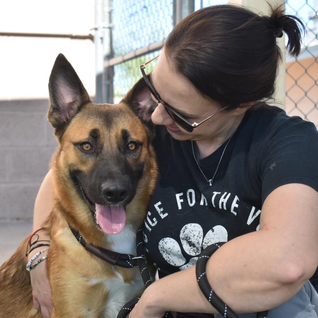 Enlarge Luca, a Adoptable mixed breed in Phoenix, AZ image 3/6