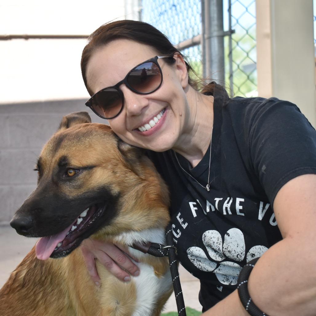 Enlarge Luca, a Adoptable mixed breed in Phoenix, AZ image 4/6