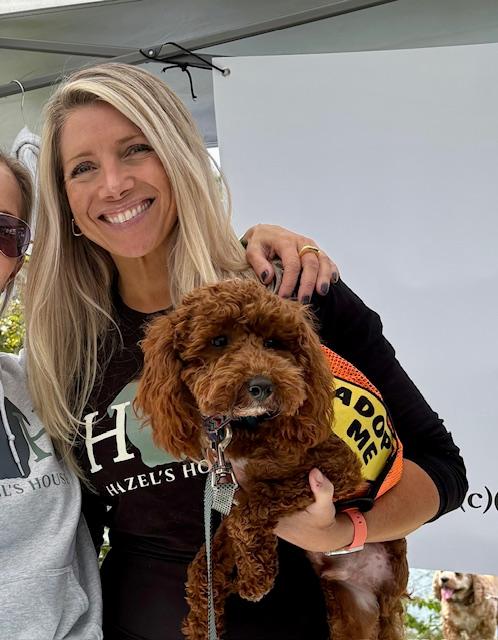 Enlarge Bingo, an adopted mixed breed in Stamford, CT image 2/6