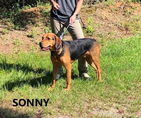 Sonny