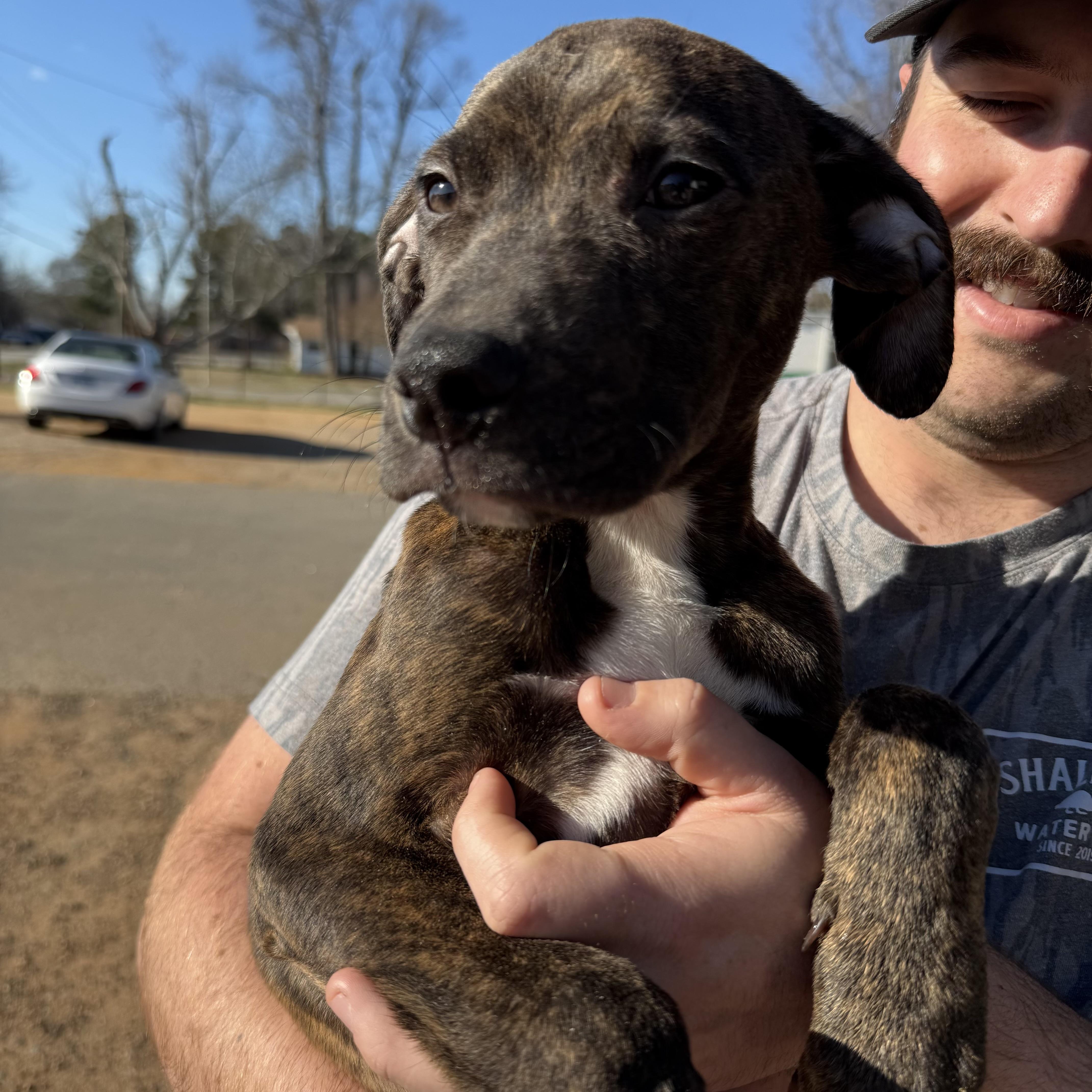 Spandex — thumbnail 2