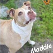 Maddie