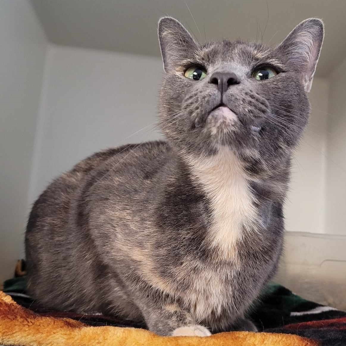 Olivia — thumbnail 2