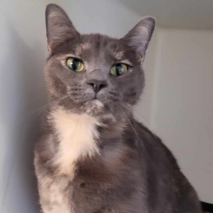 Olivia — thumbnail 4