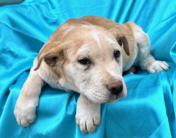 Hooch Spirits thumbnail 2