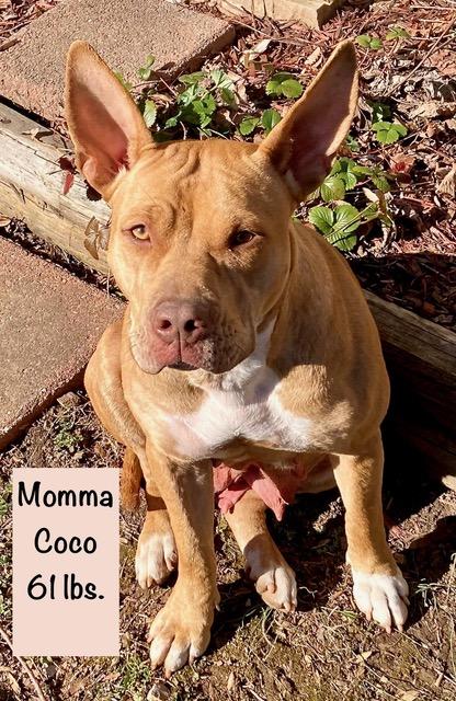 Hooch Spirits thumbnail 4