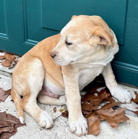 Hooch Spirits thumbnail 6