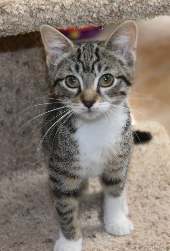 Rem (Lisa-Fostered in New England), Baby Female unknown