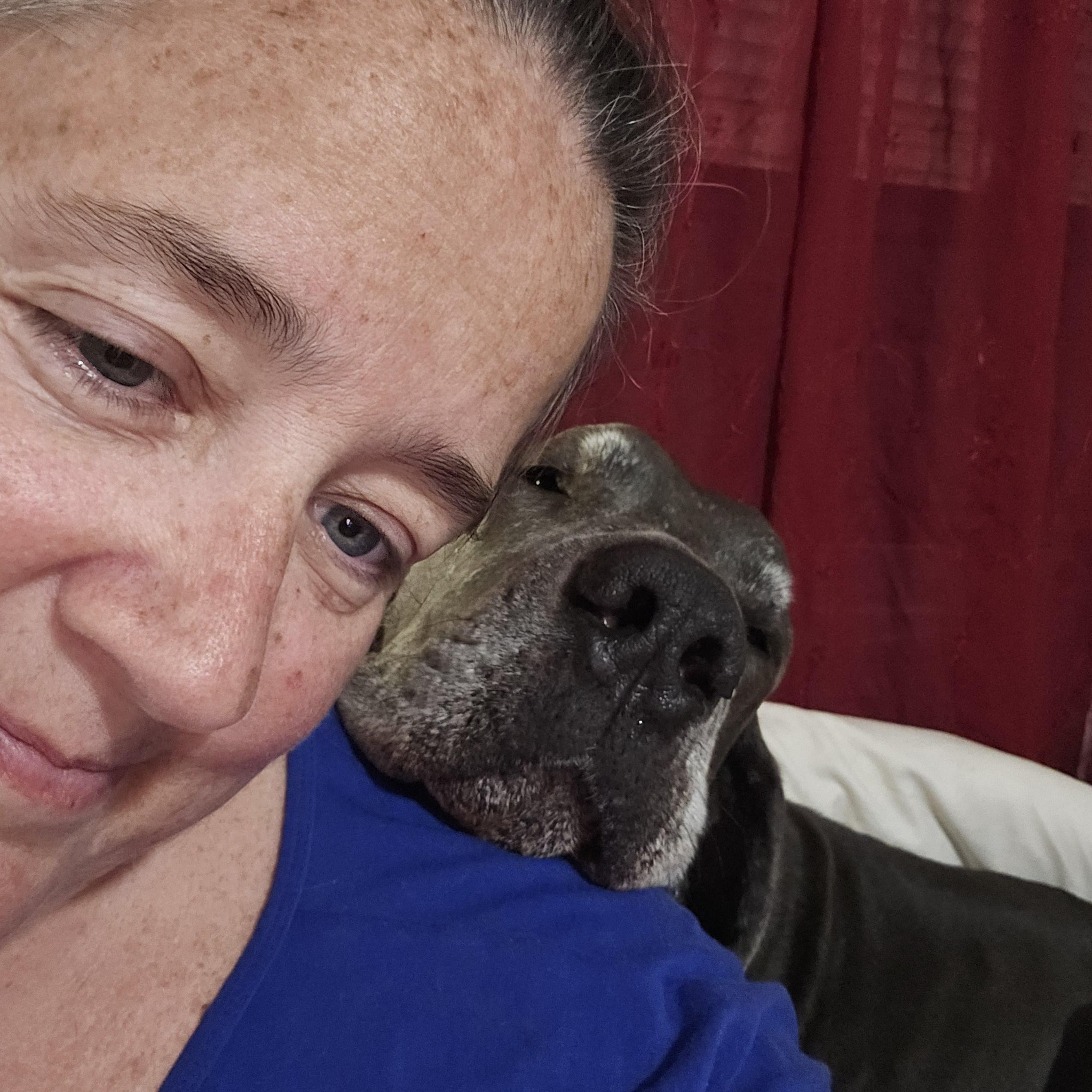 Angus aka Lugnut, a Adoptable Great Dane in Pensacola, FL image 6/6