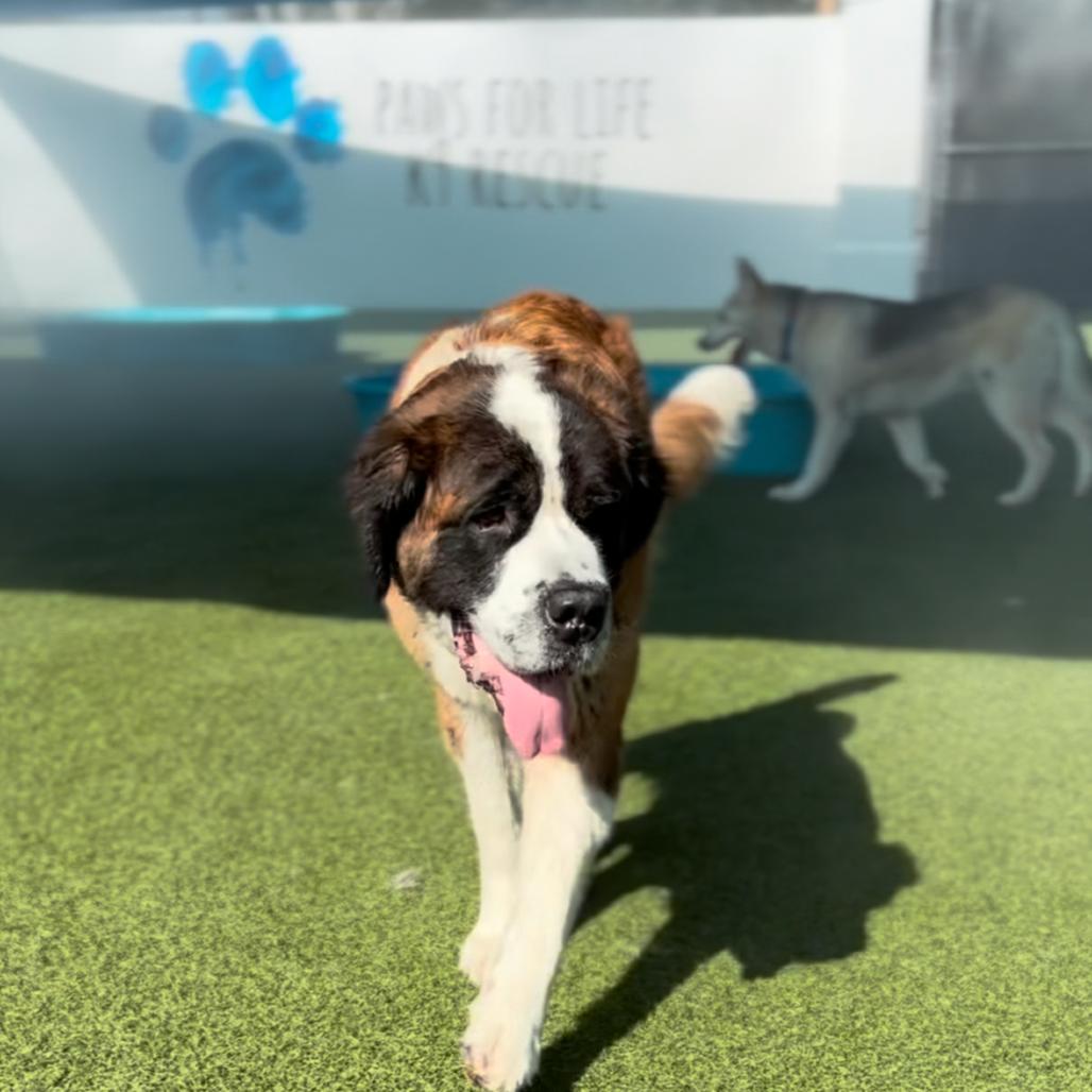 Mocha Marin A thumbnail 2