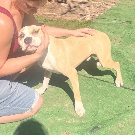 Philip — thumbnail 4