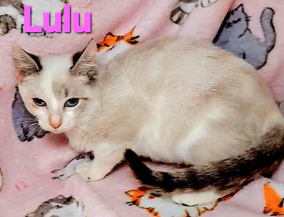 Lulu