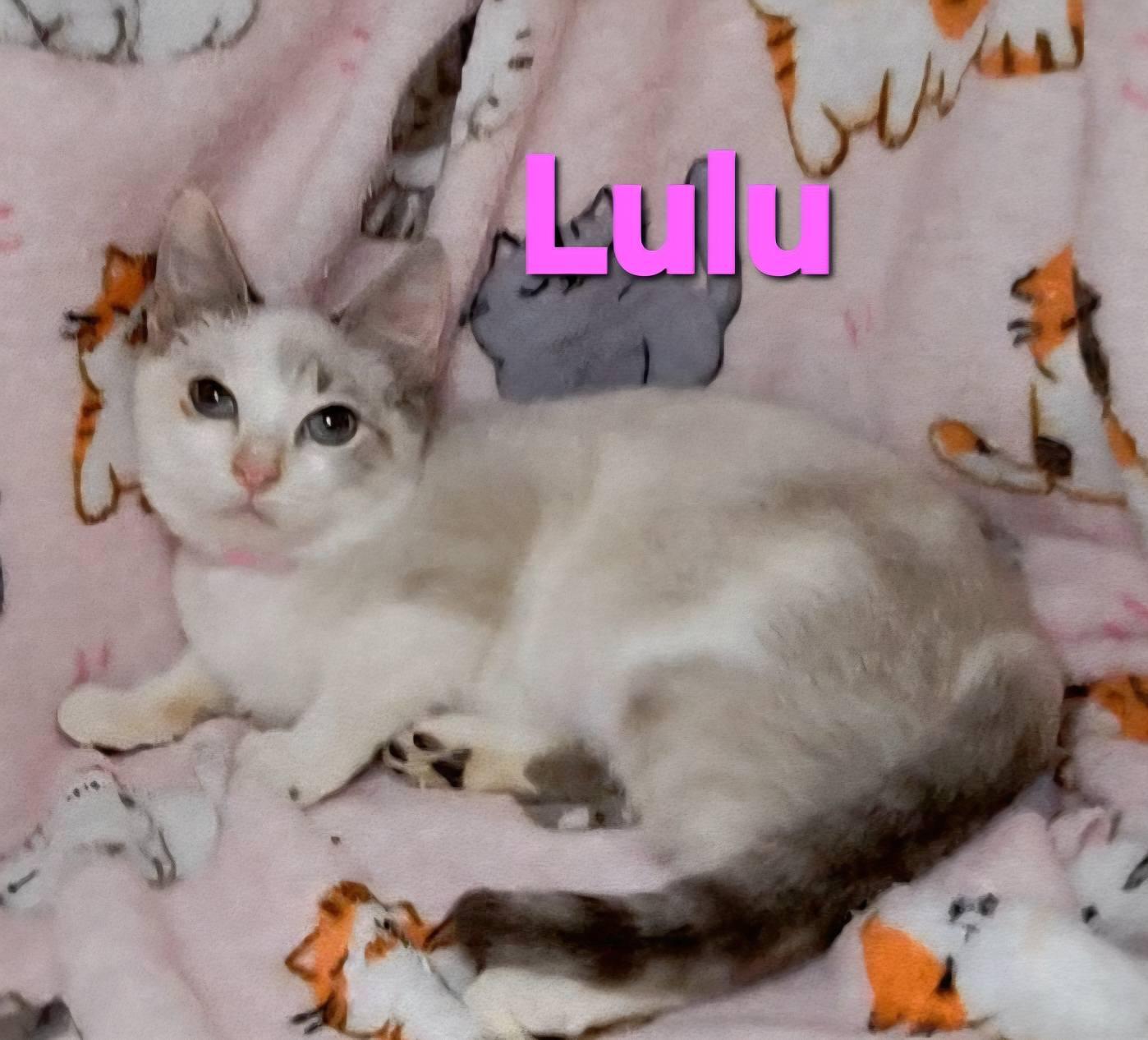 Lulu