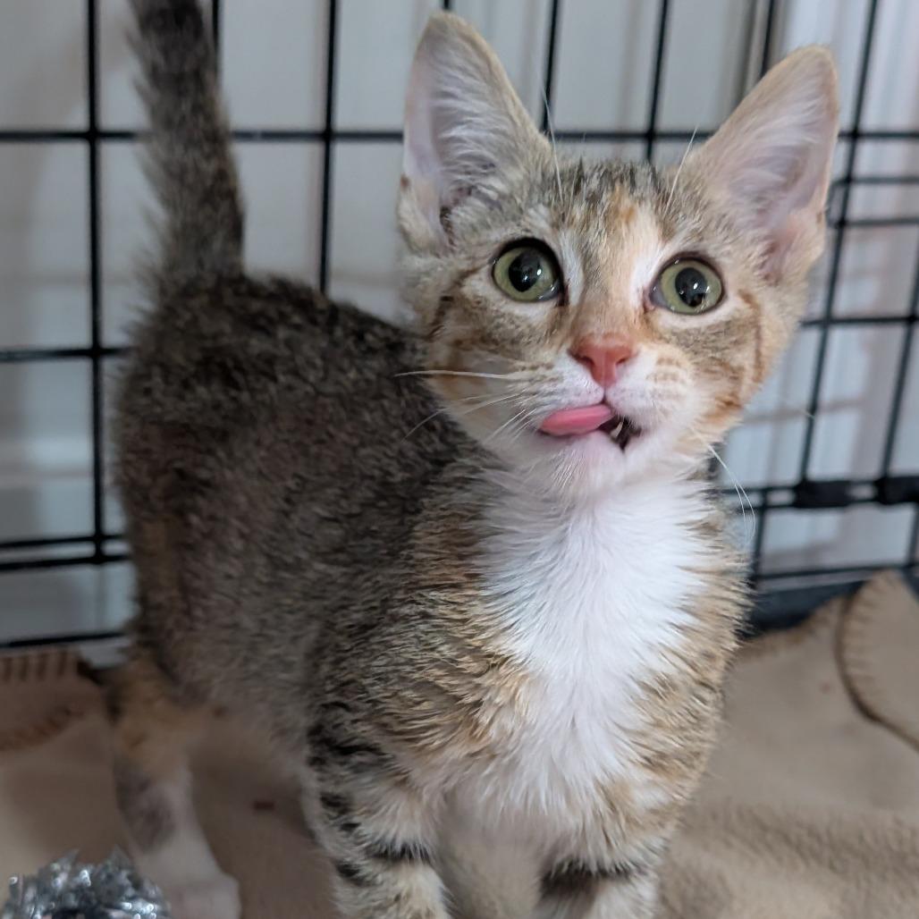 Felicity thumbnail 2