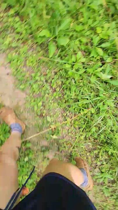 Enlarge Ellie, a Adoptable mixed breed in Morganton, NC video 2/6