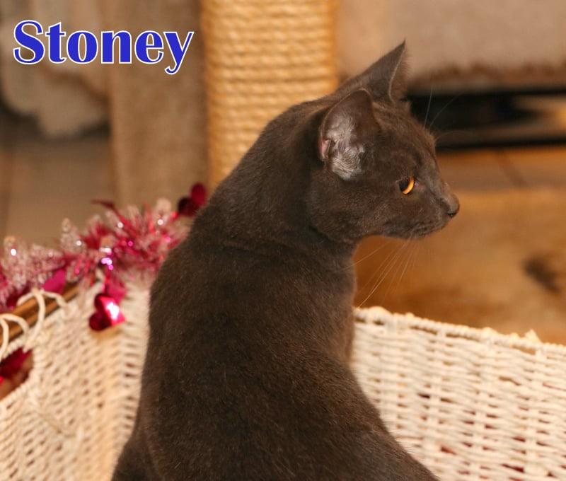 Stoney photo 2