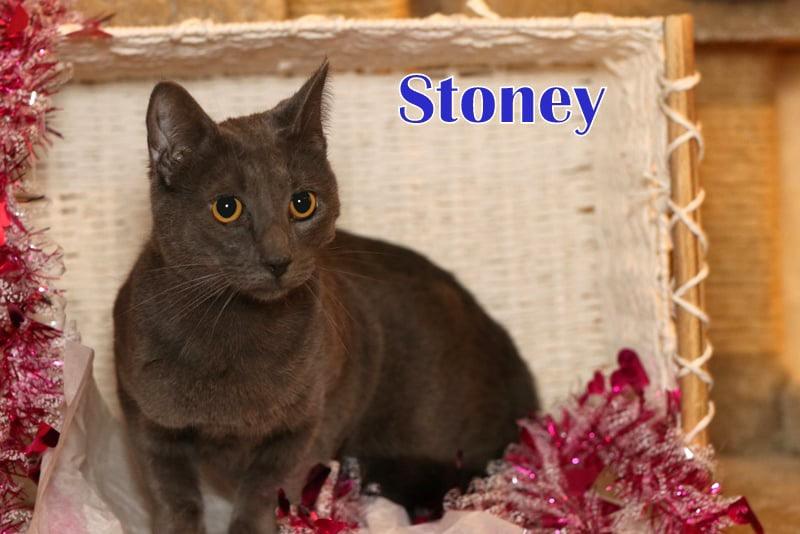 Stoney photo 3