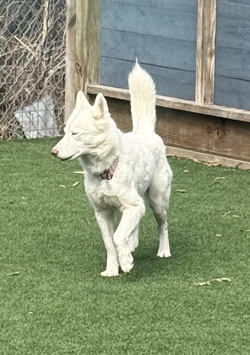 Simone — thumbnail 3