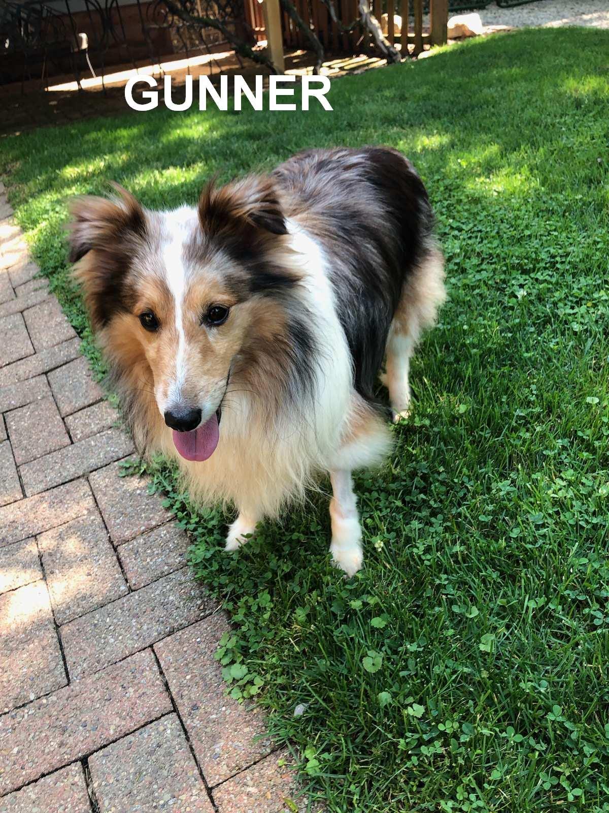 Gunner And Nova thumbnail 2