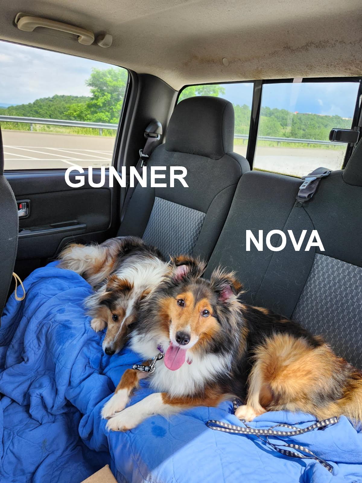 Gunner And Nova thumbnail 4