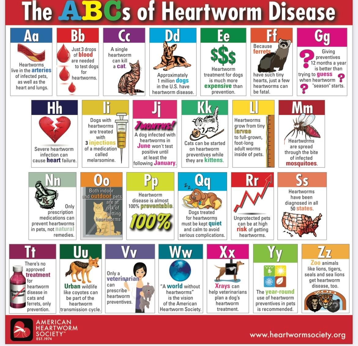 shiloh, a Adoptable mixed breed in Texarkana, TX image 6/6