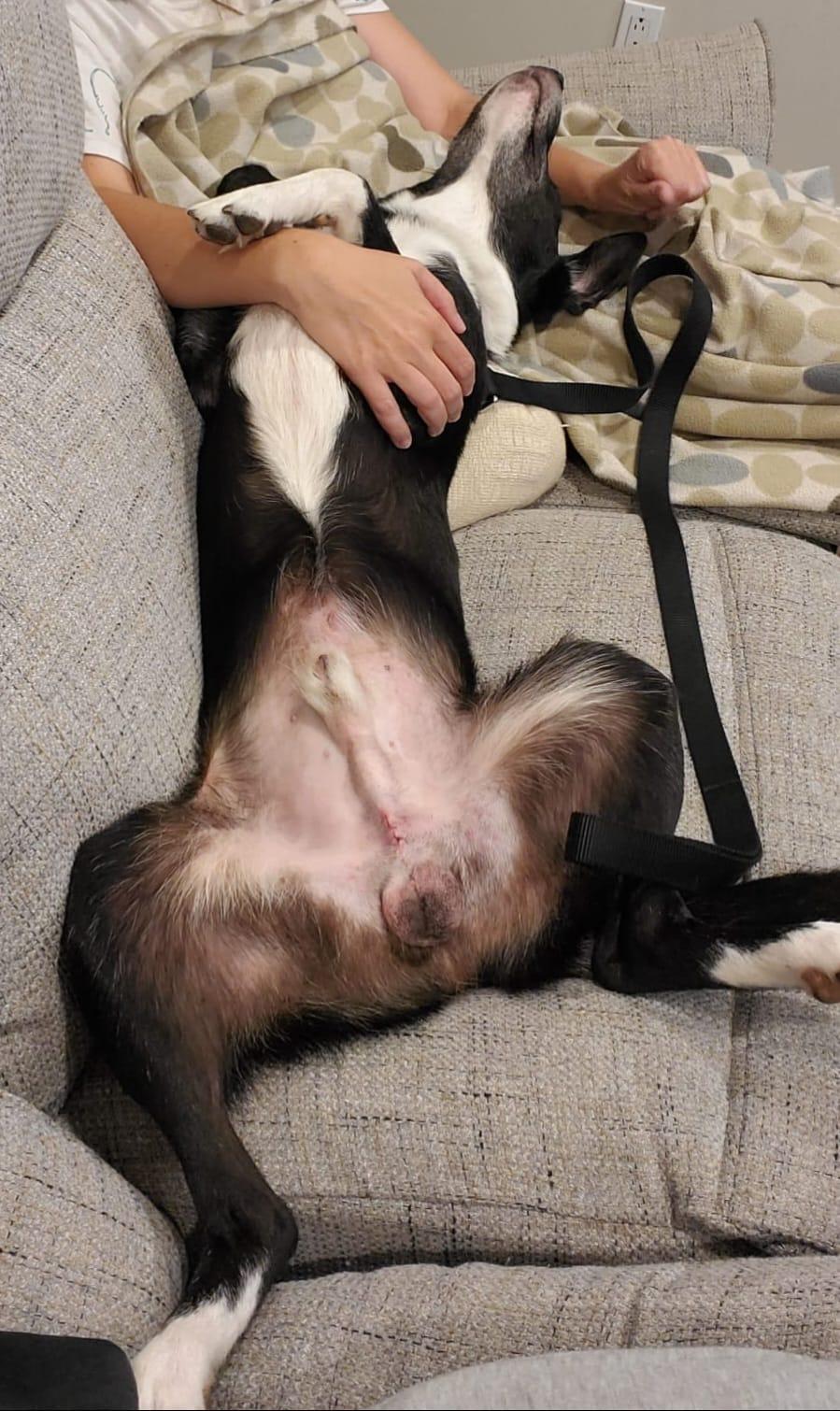 Monty