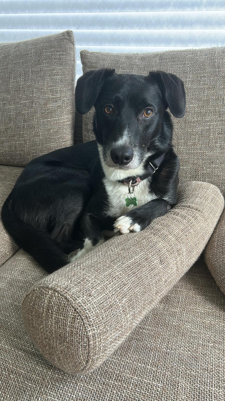 Monty