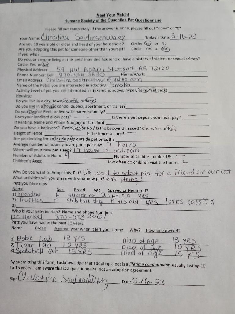 Enlarge Smokey, a Adopted mixed breed in Mena, AR image 4/5