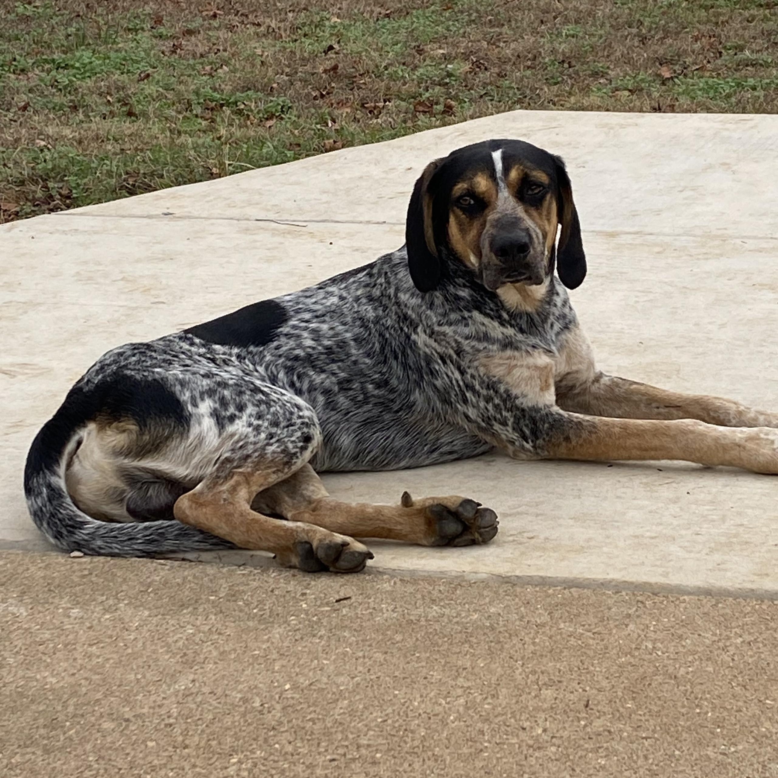 Cash — thumbnail 6