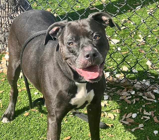 NOVA — thumbnail 2